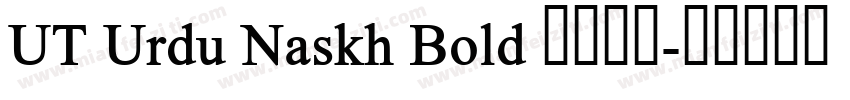 UT Urdu Naskh Bold 语言英文字体转换